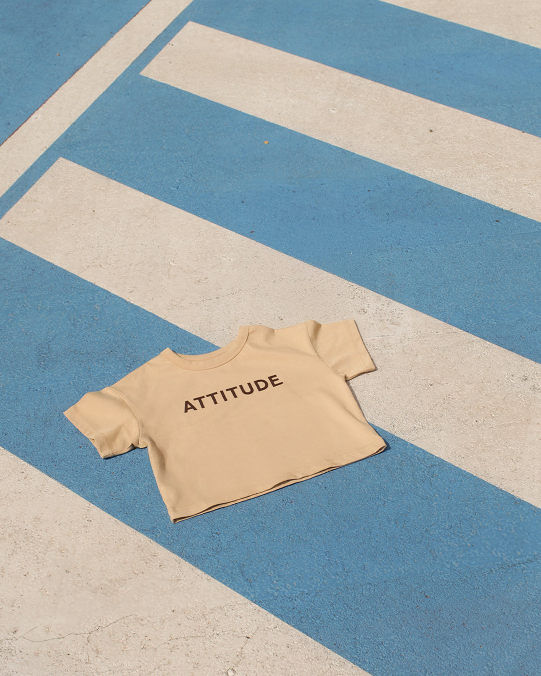 attitude t-shirt