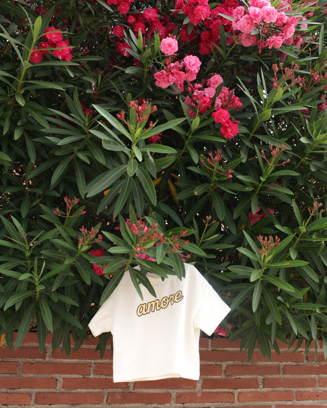 amore t-shirt